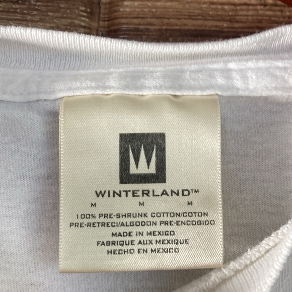Vintage Y2K Winterland White Medium N’SYNC Justin Timberlake T Shirt EUC - Picture 4 of 8